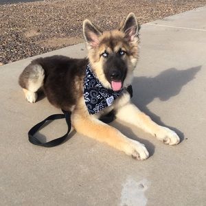 Meet your Posher, Skyler